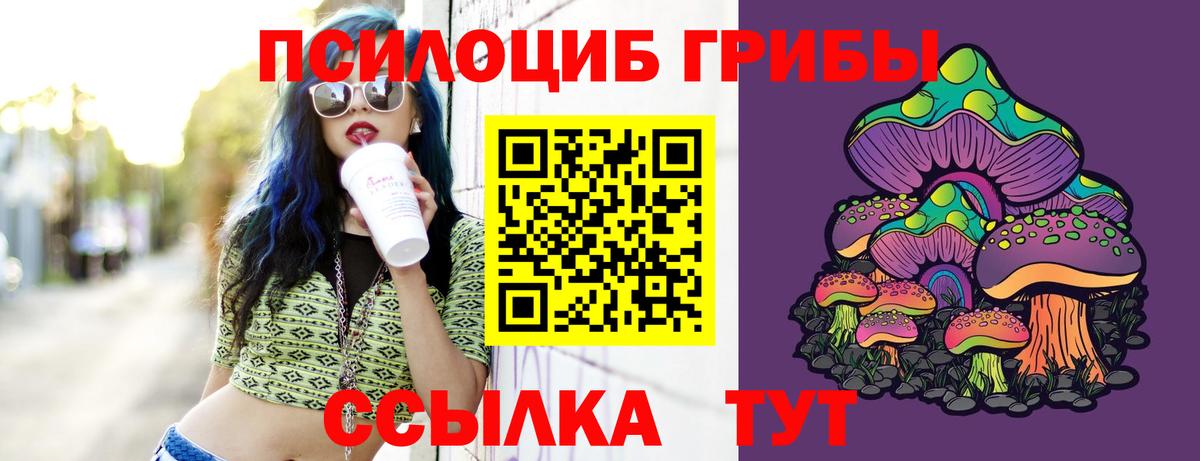 Дубна  Галлюциногенные грибы прущие грибы  Вход с VPN 